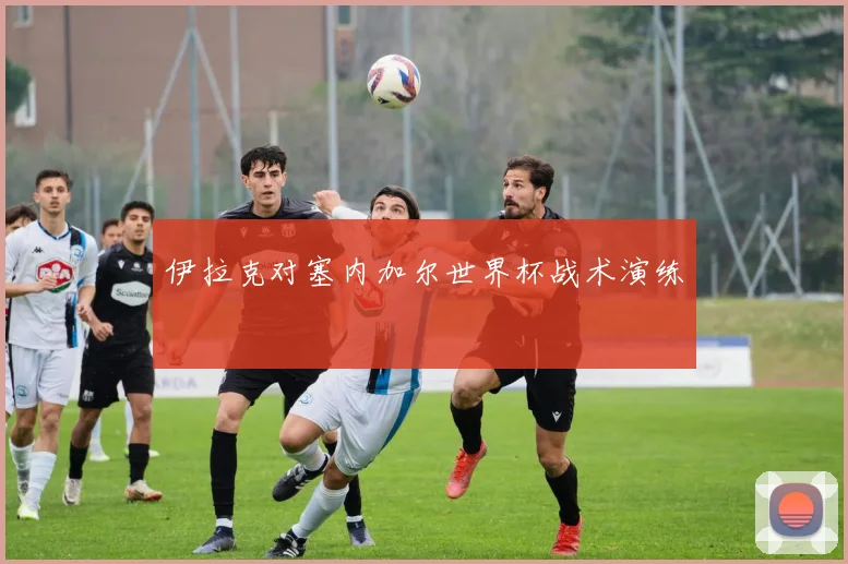 伊拉克对塞内加尔世界杯战术演练