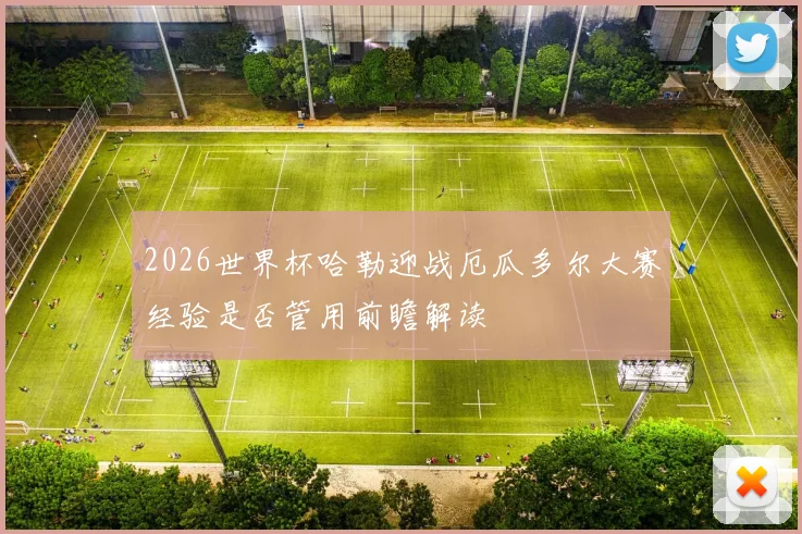 2026世界杯哈勒迎战厄瓜多尔大赛经验是否管用前瞻解读