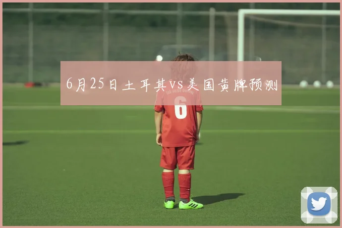 6月25日土耳其vs美国黄牌预测