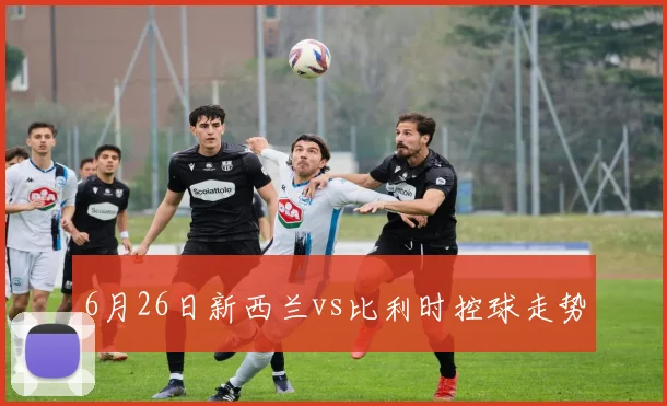 6月26日新西兰vs比利时控球走势