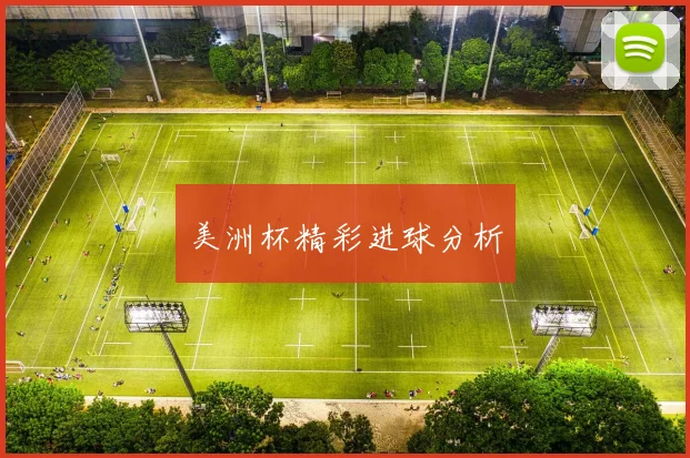 美洲杯精彩进球分析