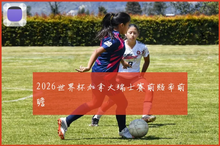 2026世界杯加拿大瑞士赛前赔率前瞻