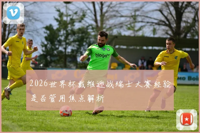 2026世界杯戴维迎战瑞士大赛经验是否管用焦点解析